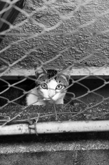 2月はイベント目白押し(Film)