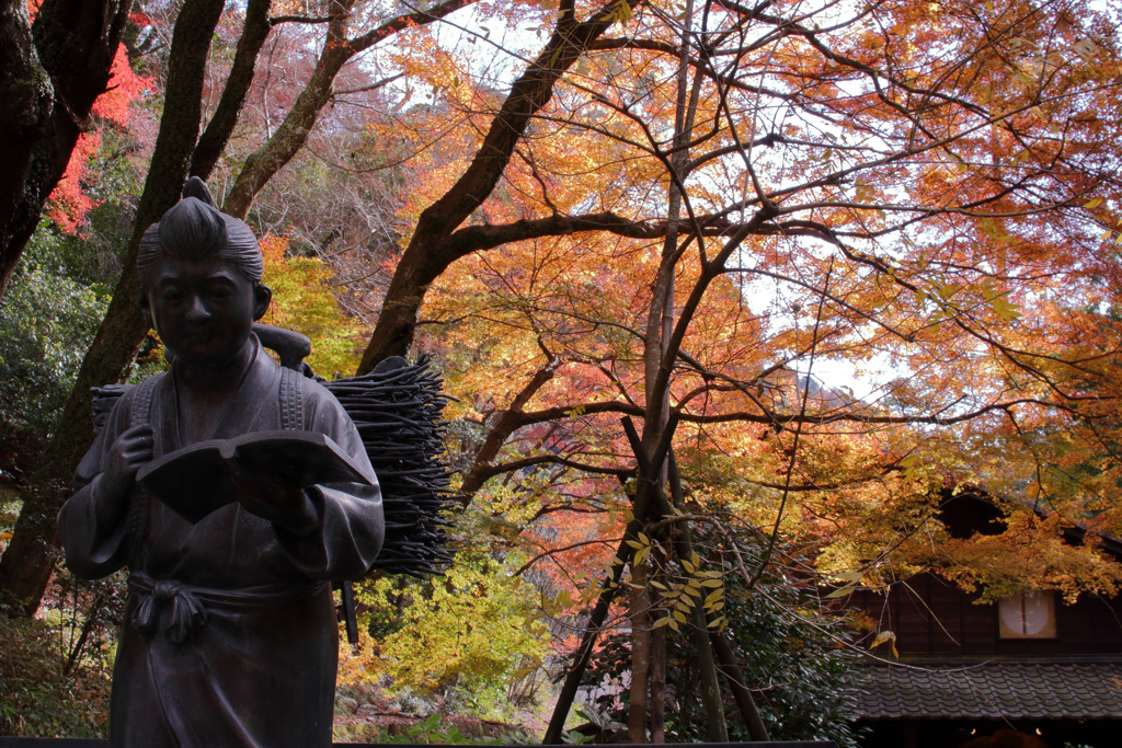 ピークをとっくに過ぎた箕面滝道だより