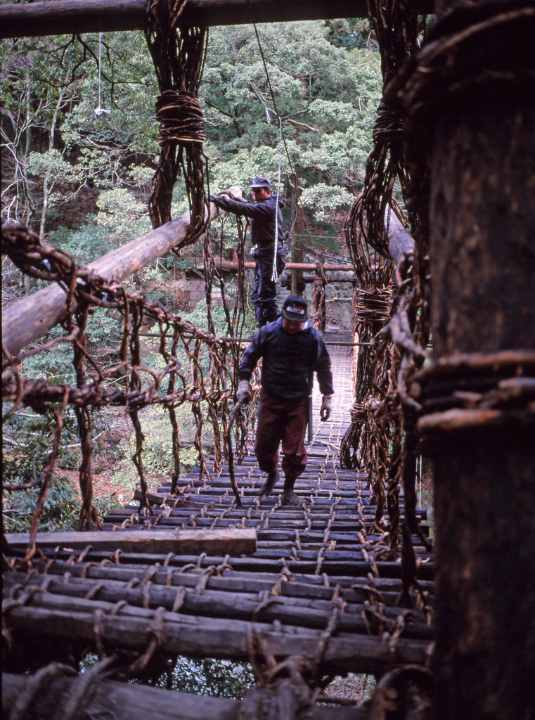 祖谷のかずら橋