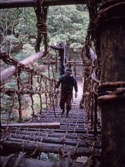 祖谷のかずら橋