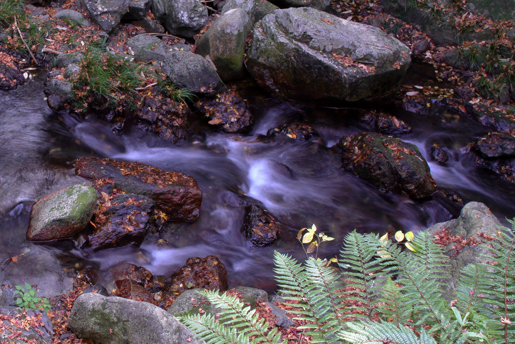 賑わい去った渓谷美