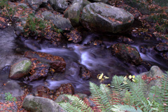 賑わい去った渓谷美