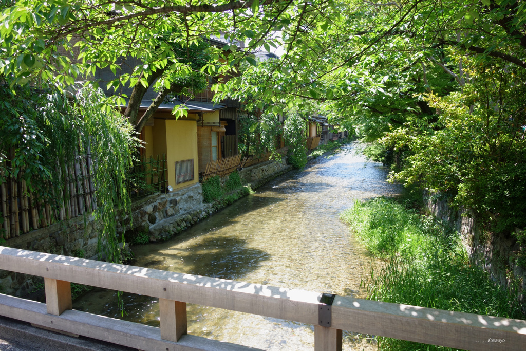 白川の風景