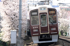 桜電車