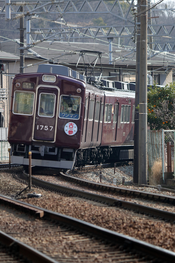 特製ヘッドマーク「古参」