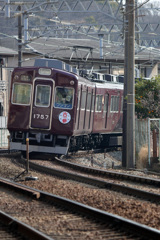 特製ヘッドマーク「古参」