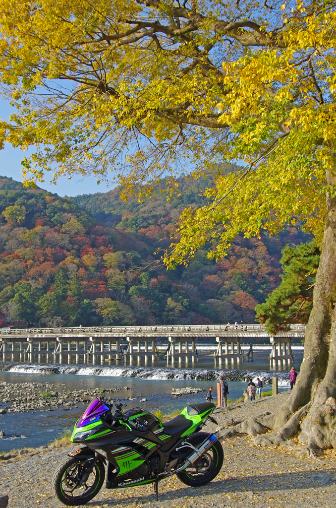 嵐山の風景