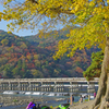 嵐山の風景