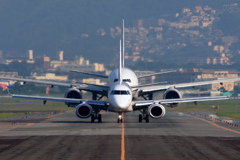 真正面シリーズ