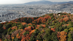紅葉先取りⅣ