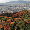 紅葉先取りⅣ