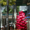 Ka Moana Luauの近く