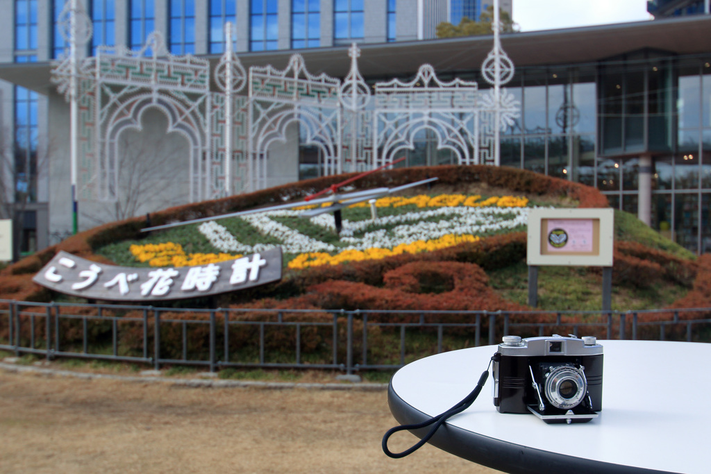 真昼のルミナリエ