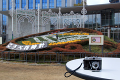 真昼のルミナリエ