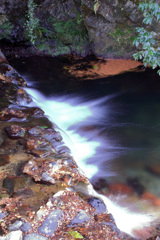 落ち葉ぐるぐる