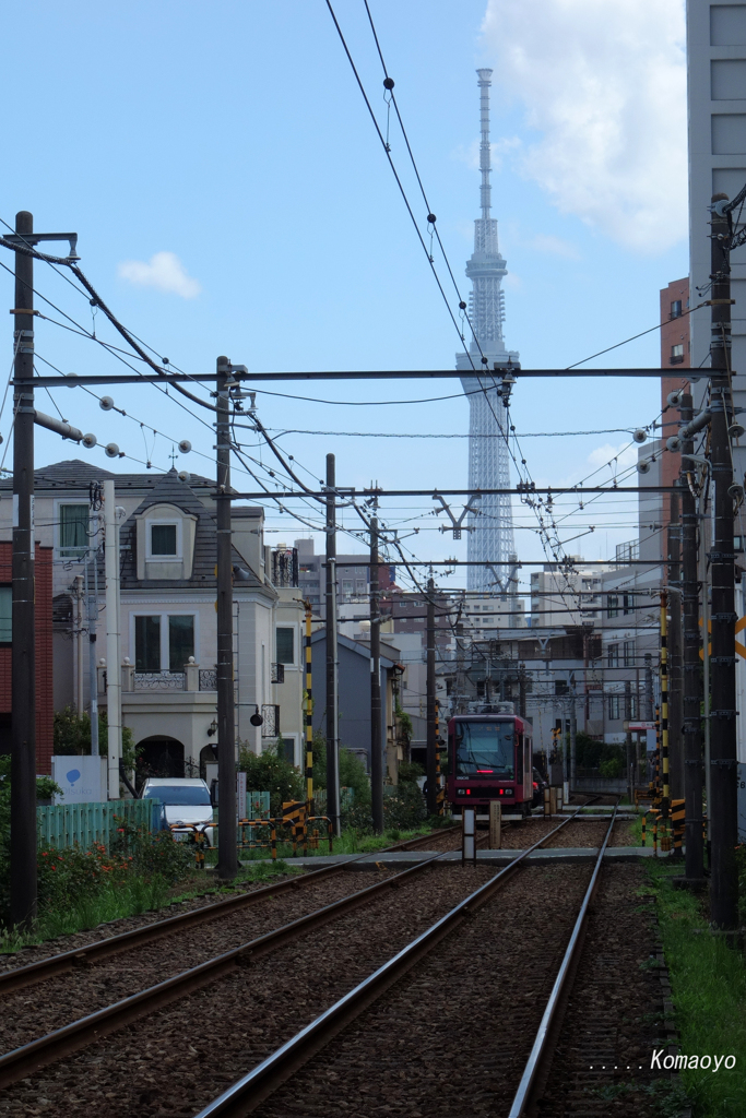 スカイツリーと踏切と