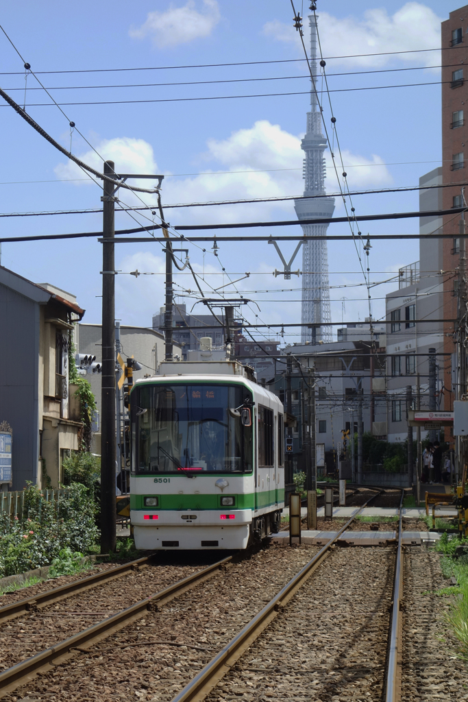 都電荒川線8500系