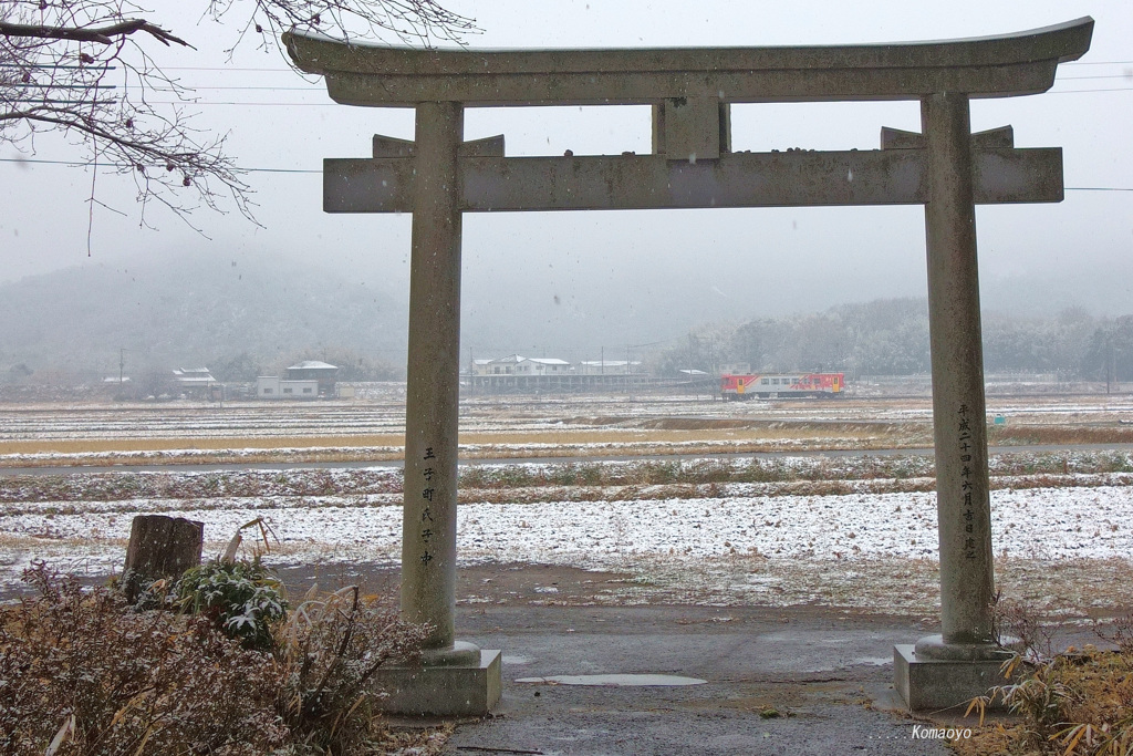 鳥居の向こうの風景