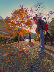 箕面瀧安寺の紅葉