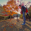 箕面瀧安寺の紅葉