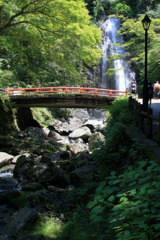 梅雨入り前の爽やかさ