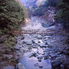 祖谷のかずら橋
