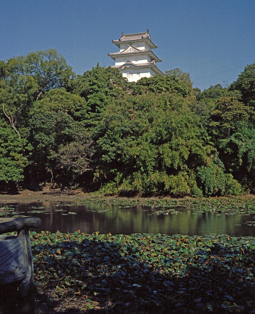 明石城の巽楼と堀