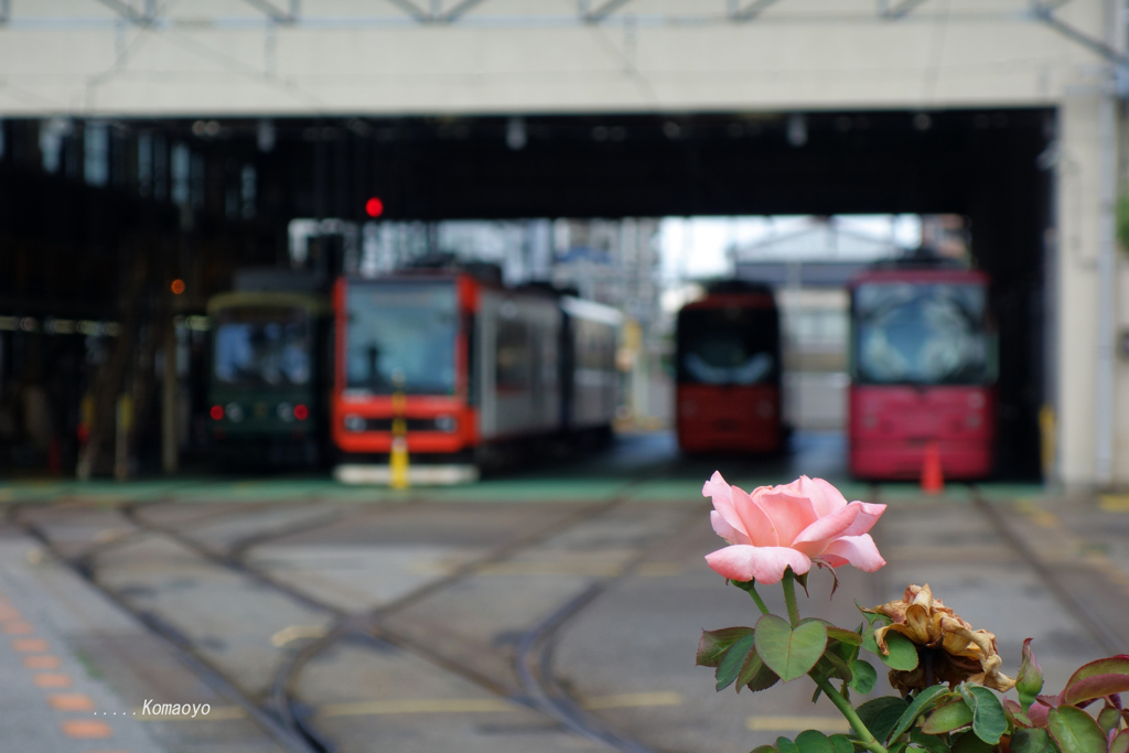 都電荒川線「荒川車庫前」