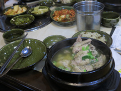 参鶏湯