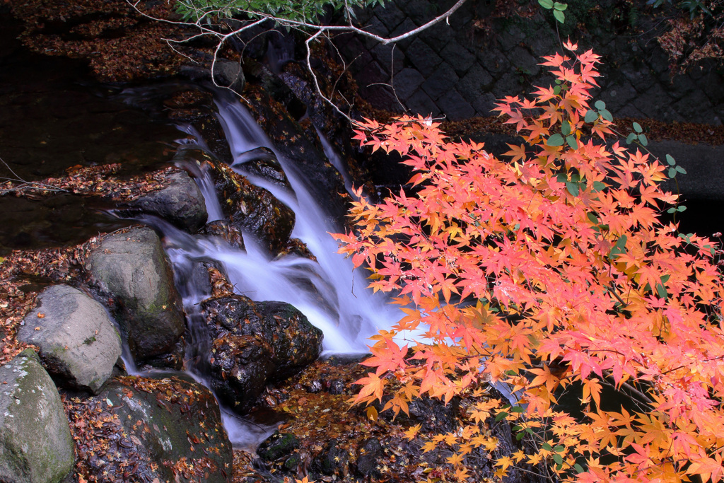 賑わい去った渓谷美