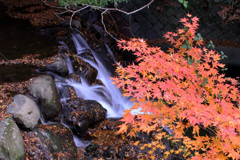 賑わい去った渓谷美