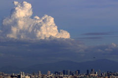 夏雲という積雲