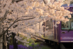 春らしくありたい