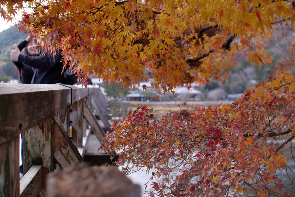 渡月橋のほとり