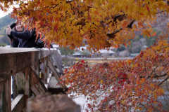 渡月橋のほとり