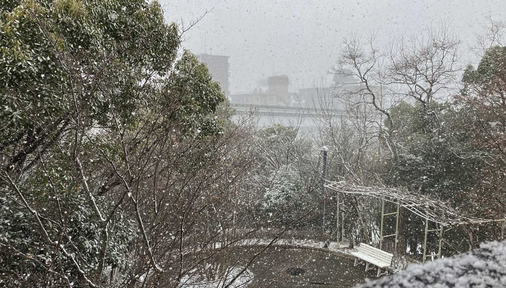 今朝の積雪「大阪モノレール」
