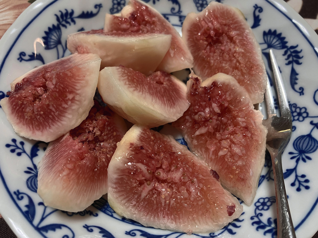 無花果