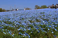 蒼い世界