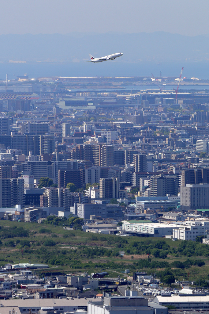B737と関西万博大屋根リング