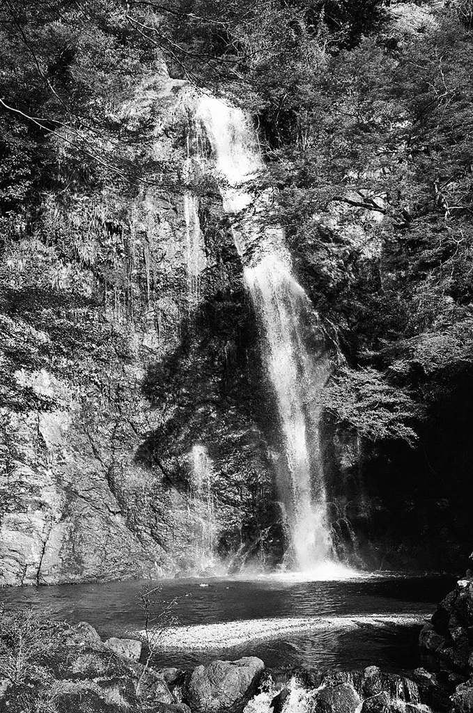 ハッセル御仁と同じアングルで