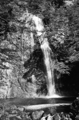 ハッセル御仁と同じアングルで