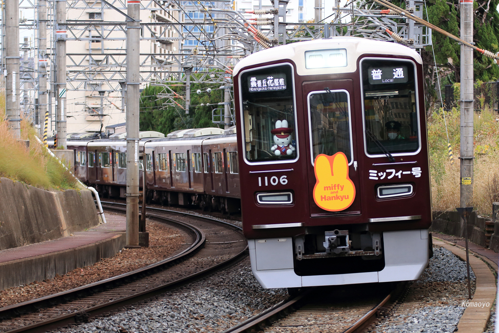 ミッフィー号