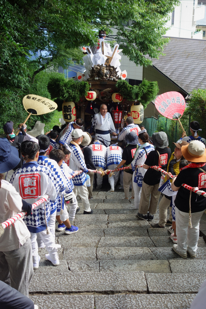伊居太神社だんじり巡行