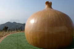海峡を望む巨大玉ねぎ