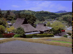 能勢長谷の棚田 (1)