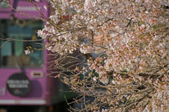 心に握ってゐる桃色の三等切符