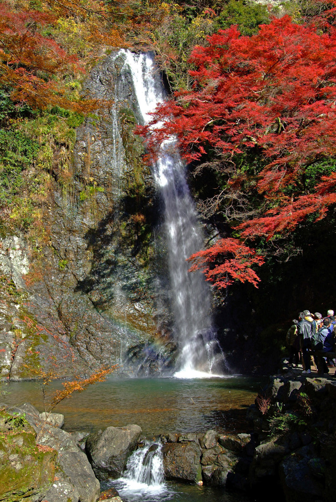 紅葉先取りⅡ