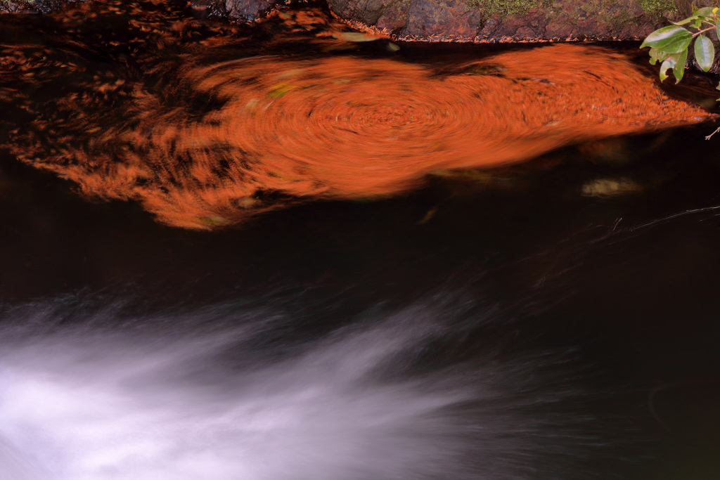 落ち葉ぐるぐる