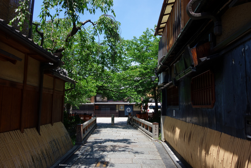 白川の風景