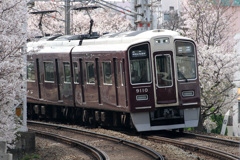 桜電車